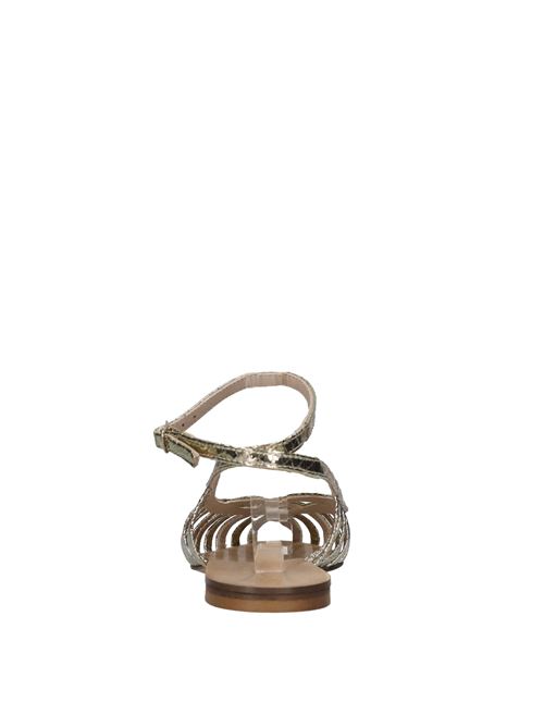  ADELIA | 513 WHIPSPLATINO